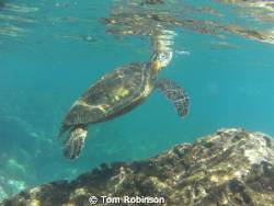 "Everyone needs some fresh air sometimes."  This is a pic... by Tom Robinson 